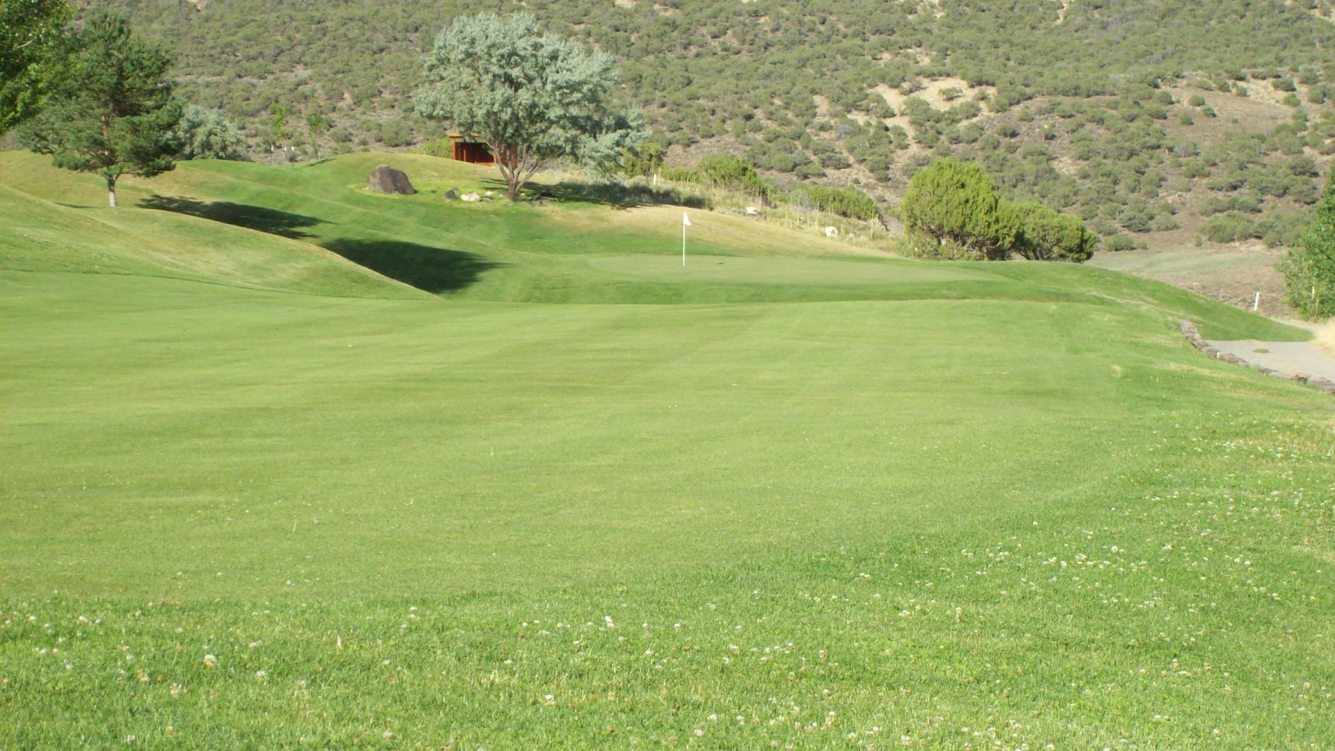 Book Your Event Cedaredge Golf Course