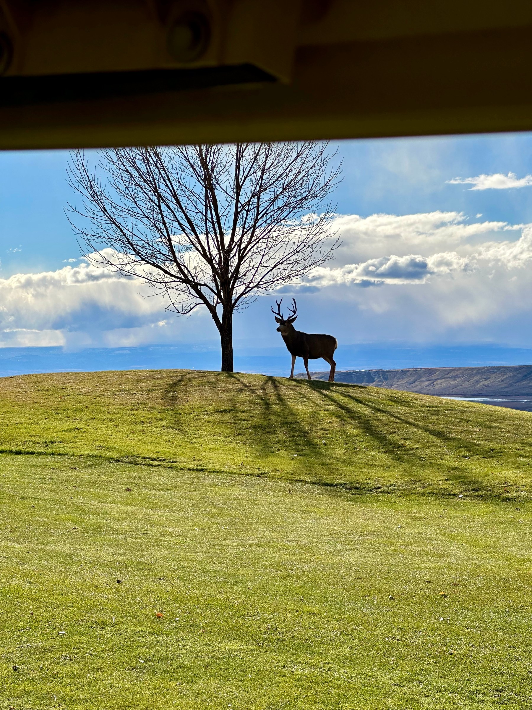 Home Cedaredge Golf Course